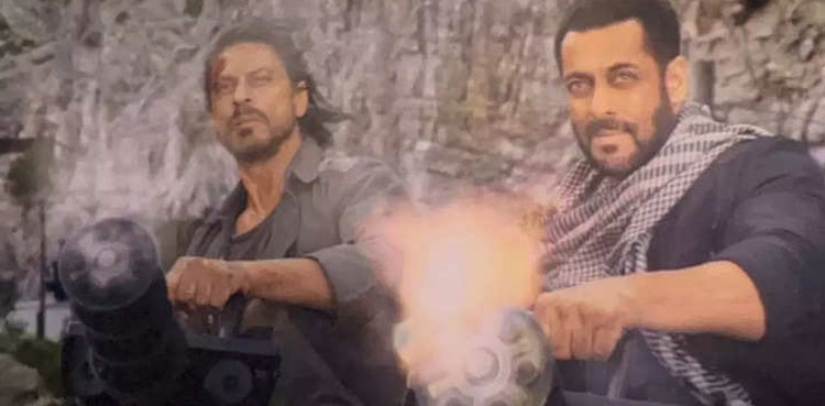 tiger, pathaan, shah rukh khan, salman khan, bollywood,