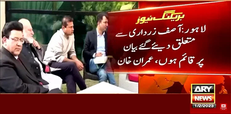 Imran Khan, Asif Ali Zardari, statement