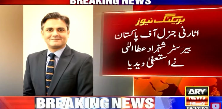 barrister shehzad elahi