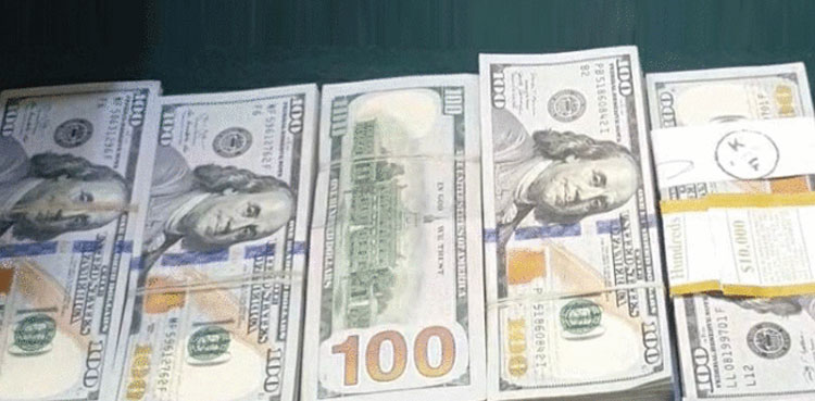 DOLLAR EURO RATE INDEX