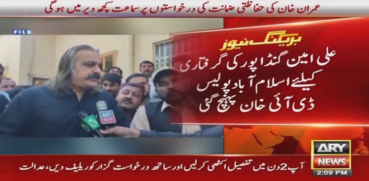 Ali Ameen Gandapur