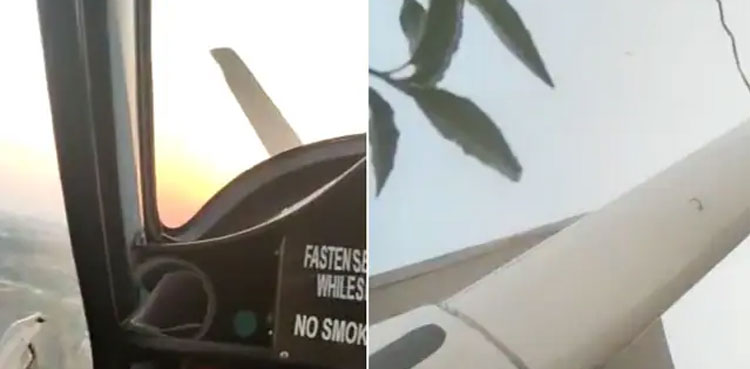 Glider Plane Crash
