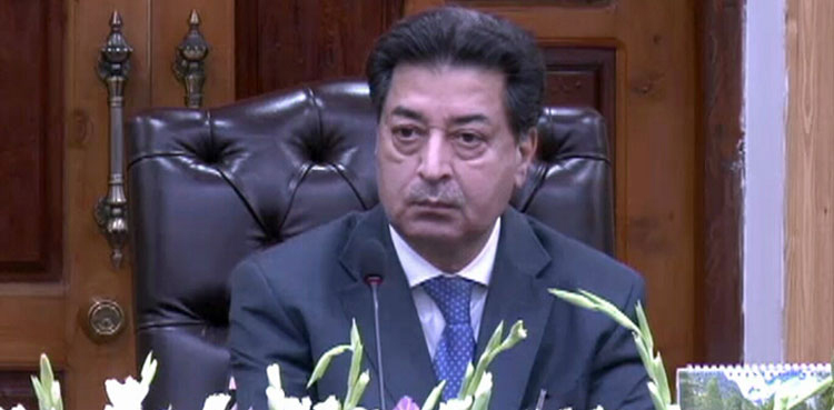 Saadia Abbasi, PML-N senator, CEC's resignation
