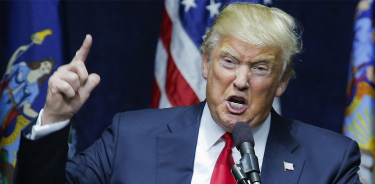 Trump Immigration Program