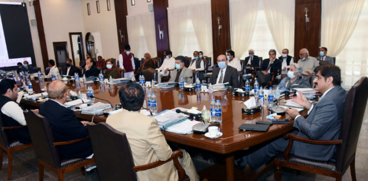 Sindh Cabinet, Sindh Electric Power Regulatory Authority, Murtaza Wahab