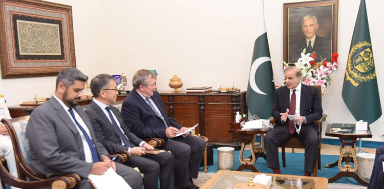 PM Shehbaz, Reko Diq, mining company