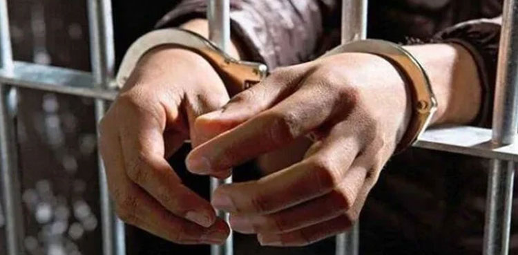 Arrested mugger, LG candidate, Karachi, Baldia Town