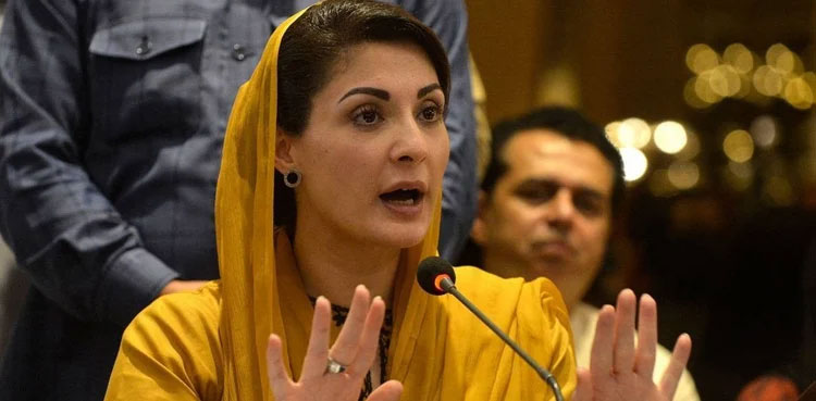 Elections 2024, Maryam Nawaz, PML-N,