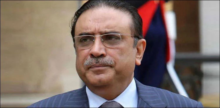 Asif Ali Zardari, Imran Khan, PTI government, PTI