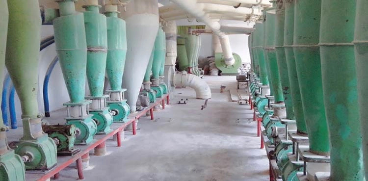 Flour, Association of flour mills, Processing cost