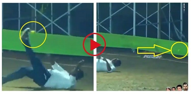 cricket viral video