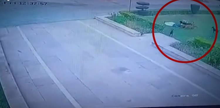 CCTV, violent dog attack, killing man, AMU campus