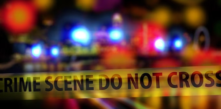 Bryansk: Girl, 14, shoots dead classmate, commits suicide
