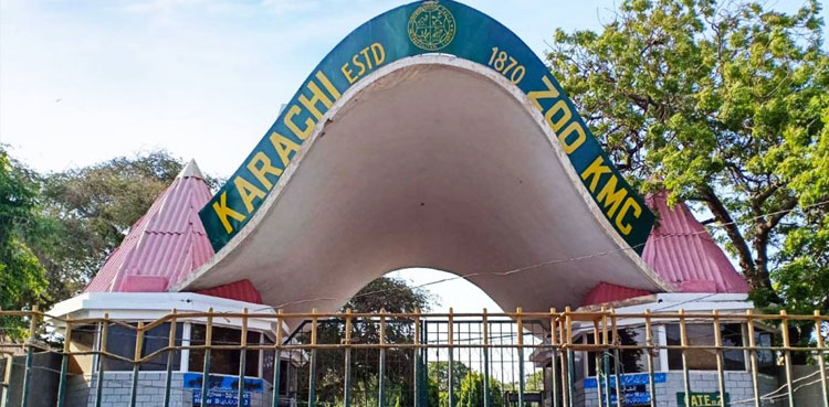 Noor Jehan: Karachi Zoo likely to be shut down permanently