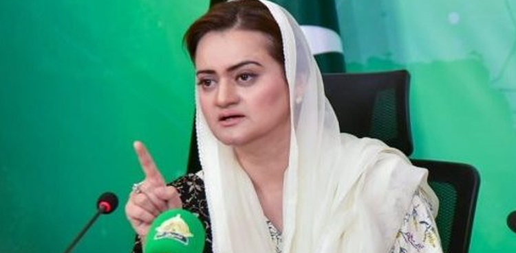 Marriyum Aurangzeb, media reports, caretaker PM 