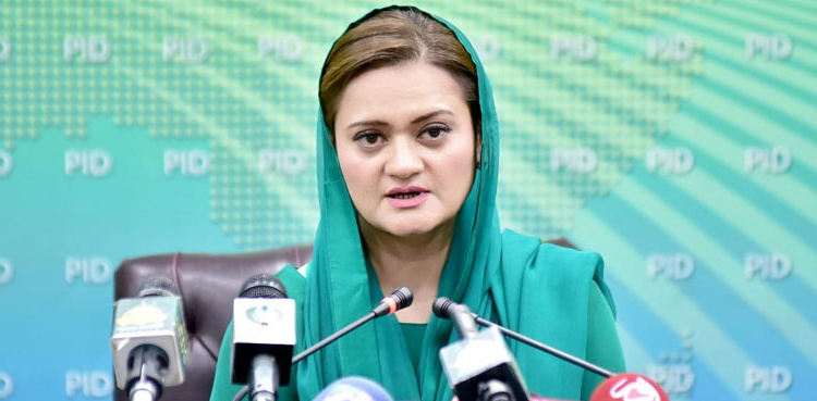 budget relief, Marriyum Aurangzeb