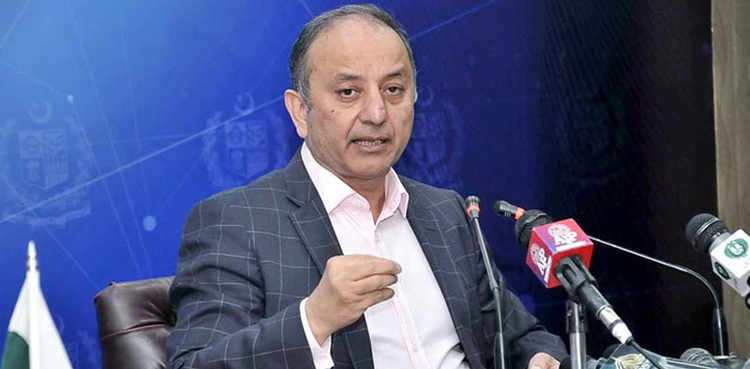 Saudi firm Manara, Reko Diq investment, Musadik Malik