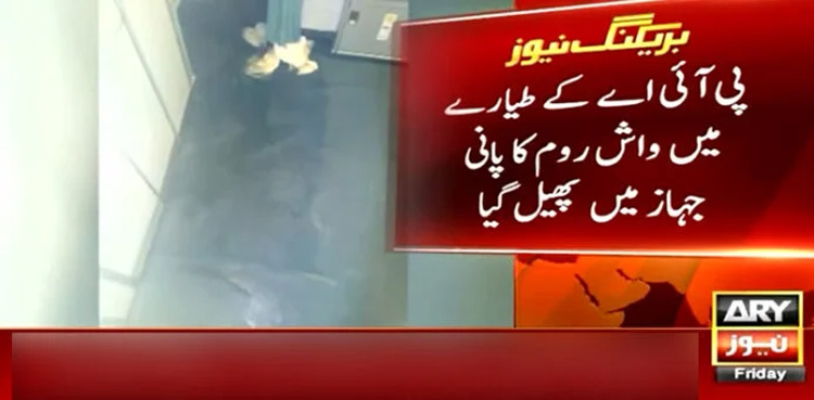 Airplane washroom leaks, during flight, passengers disguise