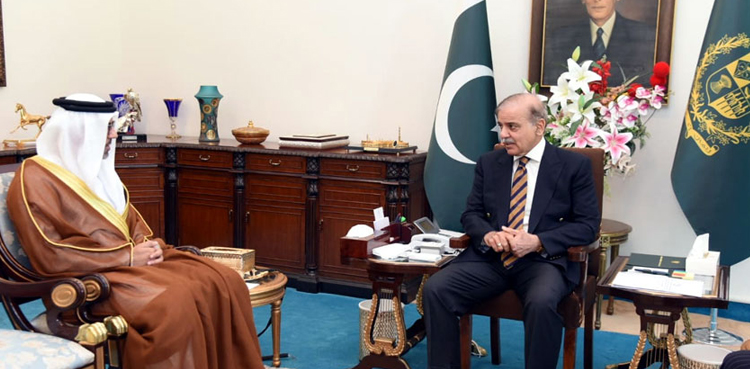 PM Shehbaz Sharif, UAE ambassador