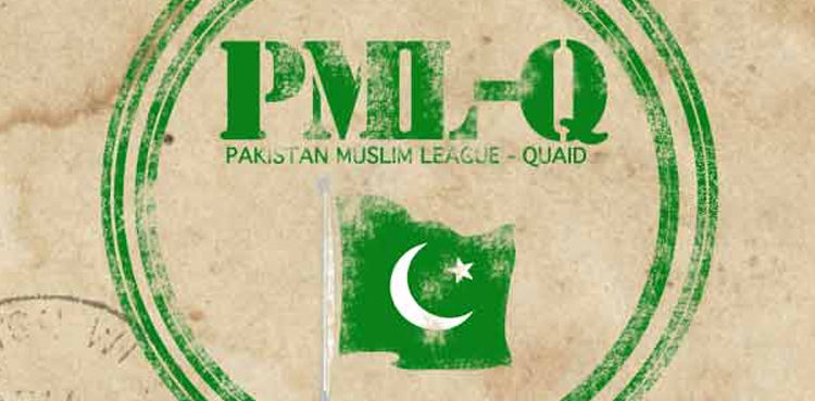 pml-q pml-n seat adjustment general elections 2024