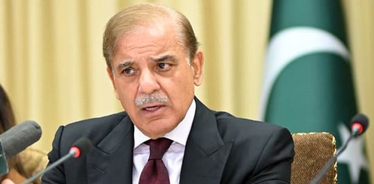 Pulwama attack, India, Pakistan, PM Shehbaz