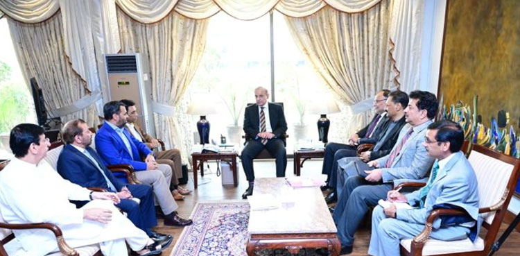 PM Shehbaz, Ahsan Iqbal, MQM-P, census