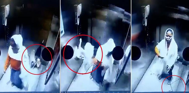 maid-slams-dog-viral-video