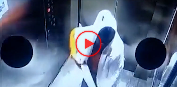 dog video, woman beats dog, dog, viral video, viral, video, india