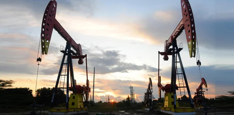 PPL begins, oil production, gas production, Punjab