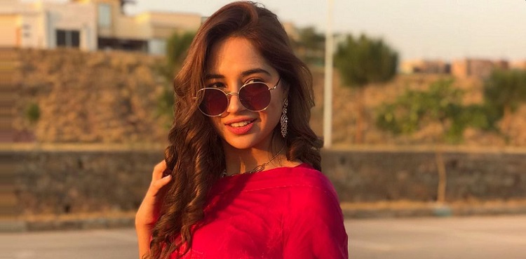 sabeena farooq, latest viral videos, sarees