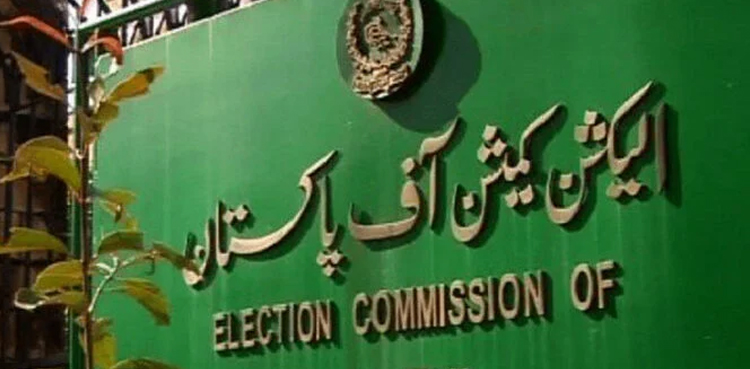 ECP, mayor election, Sindh