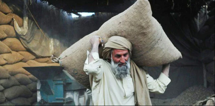 Pakistan per capita income increased
