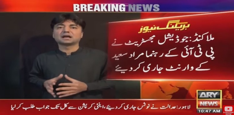 murad saeed