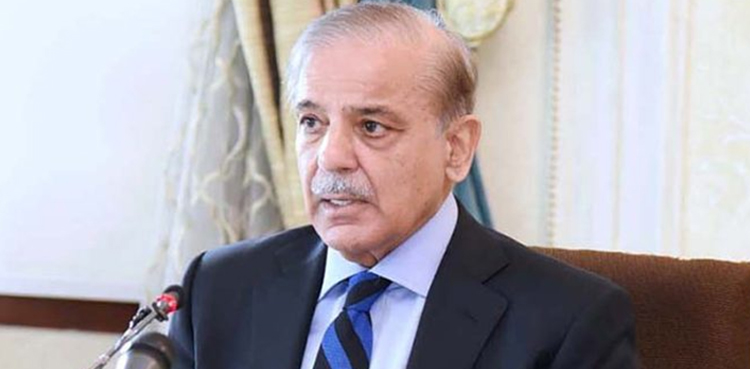 PM Shehbaz Sharif, economic revival committee, apex committee