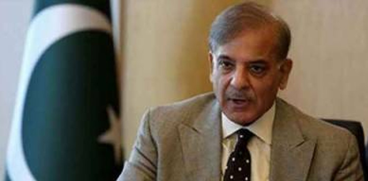 Govt-PTI talks, Shehbaz Sharif, PML-N consulative session