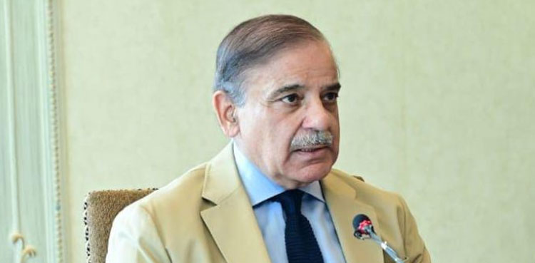 PM Shehbaz, petroleum prices,