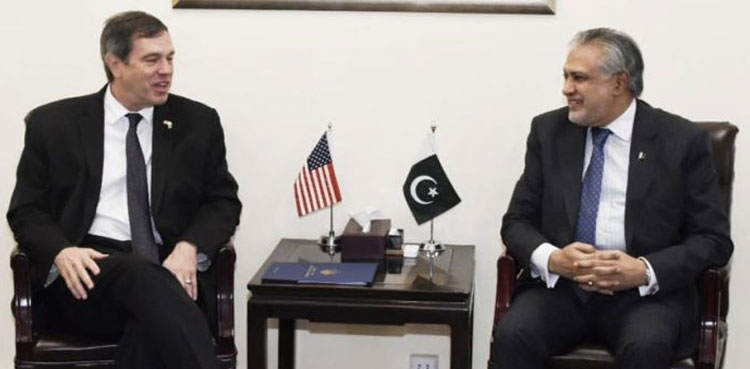 US envoy, Pakistan, economic stability, Ishaq Dar