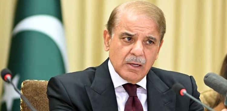 PM Shehbaz Sharif, wheat sugar urea, smugglers