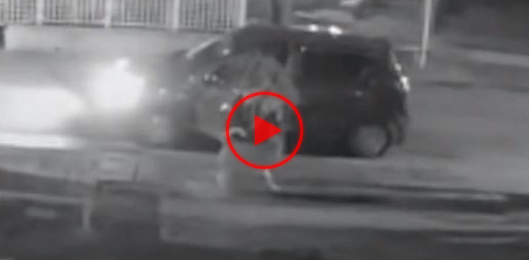 kidnap dogs video, Unknown men, CCTV