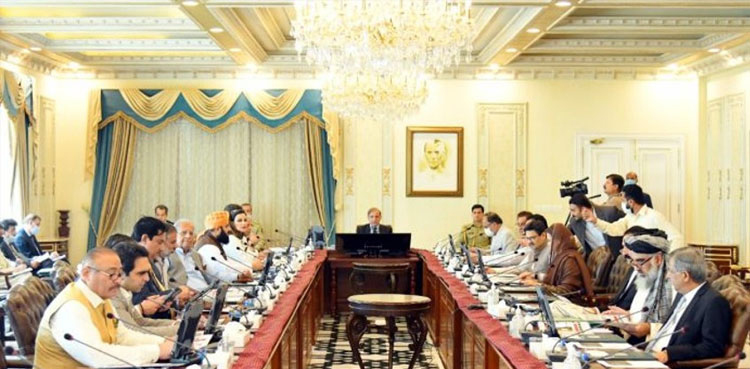 inflated electricity bills, Federal cabinet, relief on electricity bills
