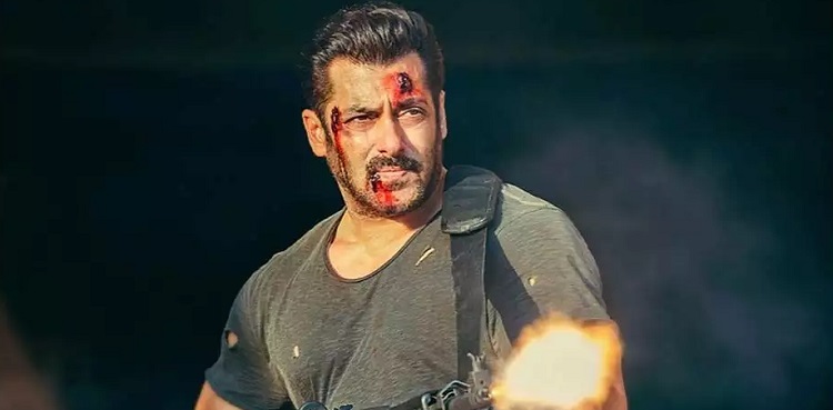 salman khan tiger 3