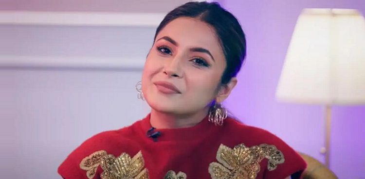 shehnaaz Gill trolls