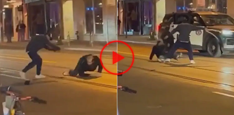 Man uses python, brawl, video, viral