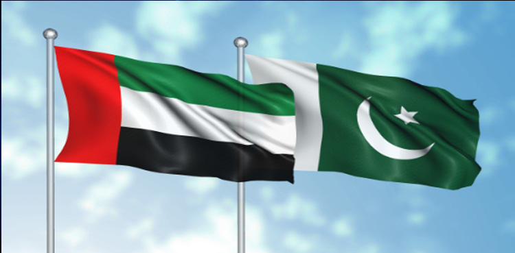 Abu Dhabi's Future Energy, Investment, Pakistan's energy sector