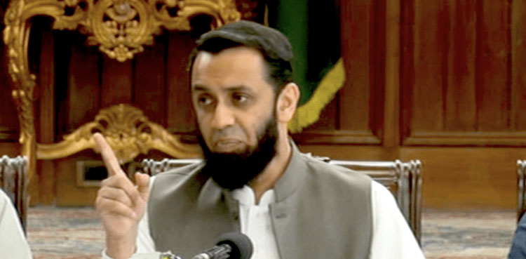 Reserved seat case, Ata Tarar , Information Minister, SC judges' dissenting note , Justice Aminuddin Khan ,Justice Naeem Akhtar Afghan