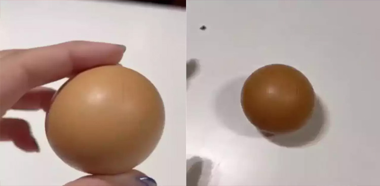 One-in-a-billion, perfectly round egg, sell for Rs 78000