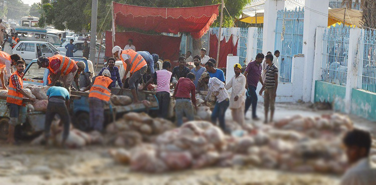 Mayor Karachi, reviews, cleaning plan, Eid-ul-Adha