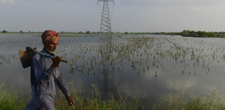 Sindh Govt, subsidies, flood-affected farmers