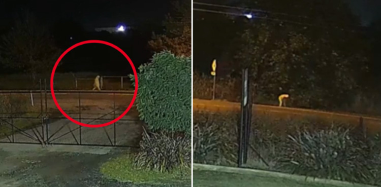 Police, release CCTV footage, missing Tasmanian teenager