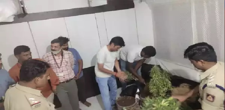 MBBS students arrest ganja charas